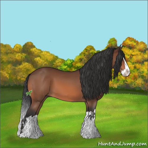 Horse Color:Brown Sabino Splash 