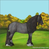 Horse Color:Blue Roan and Smoky Blue Roan Sabino