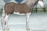 Horse Color:Silver Blue Roan Splash Varnish 