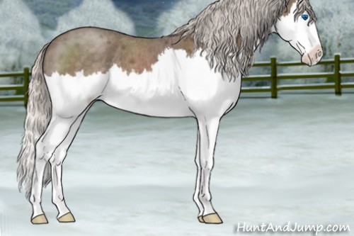 Horse Color:Silver Blue Roan Splash 