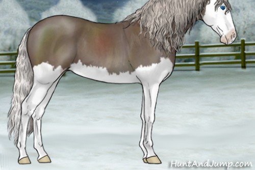 Horse Color:Silver Blue Roan Splash 