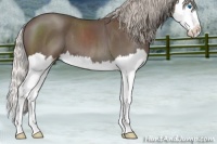 Horse Color:Silver Blue Roan Splash 