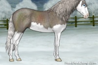 Horse Color:Silver Blue Roan Splash 