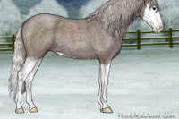 Horse Color:Silver Blue Roan Splash 