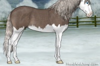 Horse Color:Silver Blue Roan Splash 
