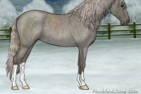 Horse Color:Silver Blue Roan 