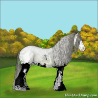 Horse Color:White Spotted Brown Ice Sabino Splash Varnish 