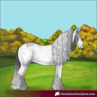 Horse Color:White Spotted Brown Sabino Splash Varnish 