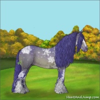 Horse Color:Watercolor White Spotted Brown Ice
