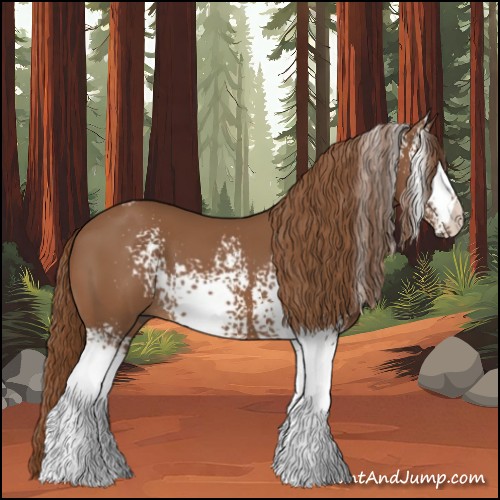 Horse Color:White Spotted Chestnut 