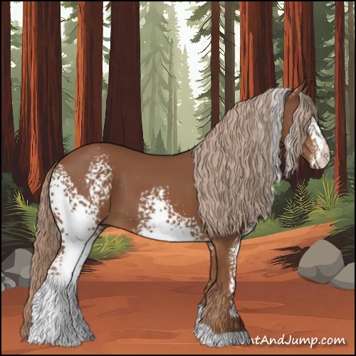 Horse Color:White Spotted Chestnut