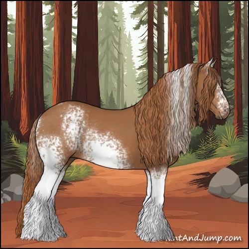 Horse Color:White Spotted Chestnut Rabicano