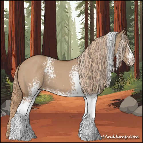 Horse Color:White Spotted Red Dun