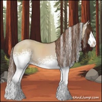 Horse Color:White Spotted Red Dun Splash 