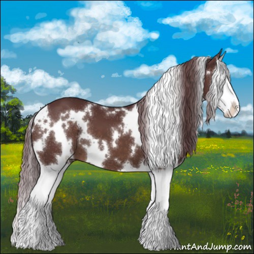 Horse Color:White Spotted Chocolate Brown Splash