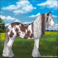 Horse Color:White Spotted Chocolate Brown Splash 