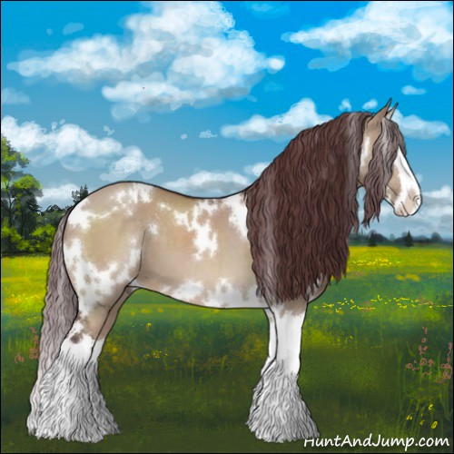 Horse Color:White Spotted Chocolate Brown Dun Splash 