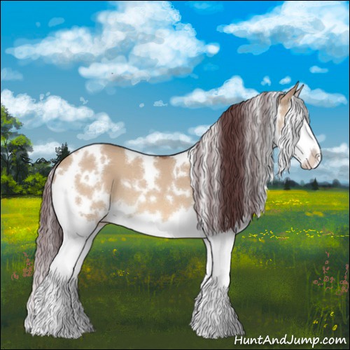 Horse Color:White Spotted Chocolate Bay Dun Splash