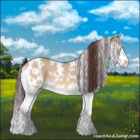Horse Color:White Spotted Chocolate Bay Dun Splash