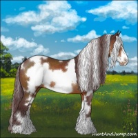 Horse Color:White Spotted Chocolate Buckskin Frame 