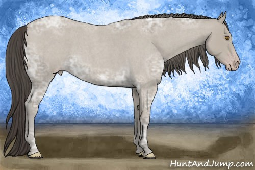 Horse Color:Classic Cream Champagne Ice Roan 