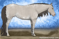 Horse Color:Classic Cream Champagne Ice Roan 