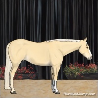 Horse Color:Palomino Dun 