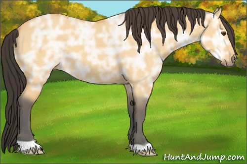 Horse Color:Buckskin Ice Dun