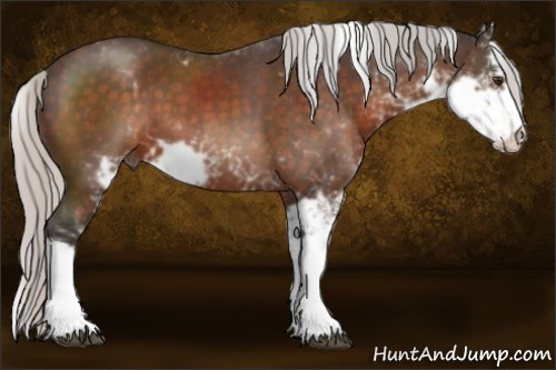 Horse Color:Silver Brown Mushroom Sabino 
