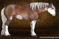 Horse Color:Silver Brown Mushroom Sabino 
