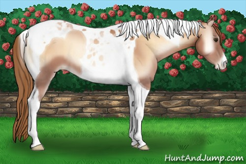 Horse Color:Red Onyx Pearl Tobiano 