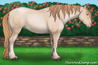 Horse Color:Smoky Black Pearl 