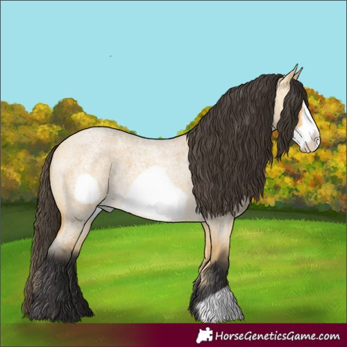 Horse Color:Buckskin Roan Dun Frame 