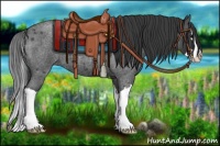 Horse Color:Blue Roan Splash Rabicano 