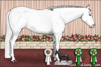 Horse Color:White Spotted Chocolate Silver Black Chinchilla Frame Appaloosa 