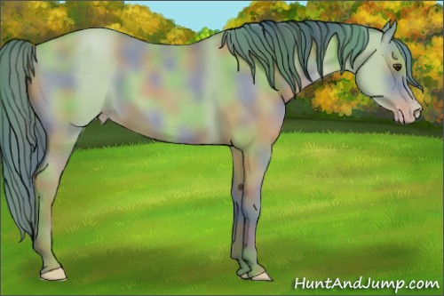 Horse Color:Nacre Watercolor Classic Champagne 