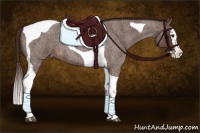 Horse Color:Liver Red Roan Splash Tobiano 