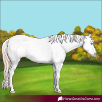 Horse Color:Red Dun Pearl Tobiano Frame Varnish 