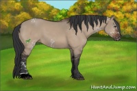 Horse Color:White Spotted Brown Dun Sabino