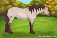 Horse Color:Chocolate Bay Roan Dun Sabino