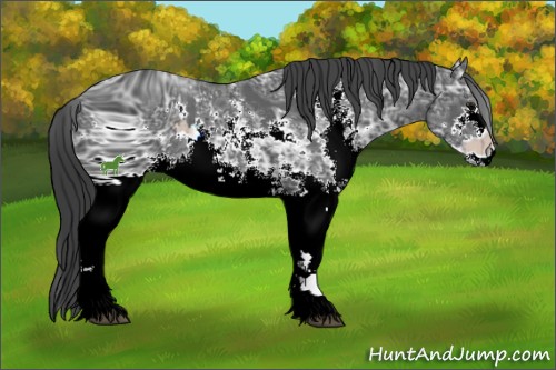 Horse Color:ERROR: UNKNOWN ANOMALY