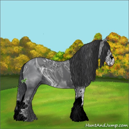 Horse Color:ERROR: UNKNOWN ANOMALY