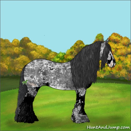 Horse Color:ERROR: UNKNOWN ANOMALY