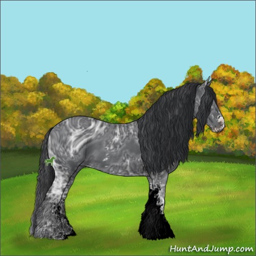 Horse Color:ERROR: UNKNOWN ANOMALY