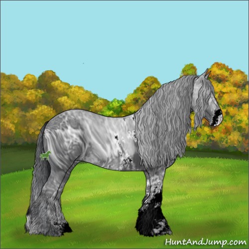 Horse Color:ERROR: UNKNOWN ANOMALY