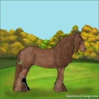 Horse Color:Chestnut Sabino