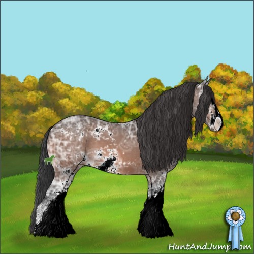 Horse Color:Bay Ice Mushroom Sabino