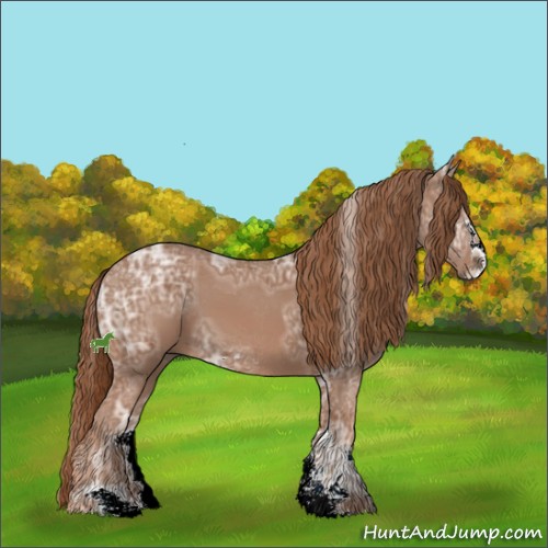 Horse Color:Chestnut Ice Sabino 