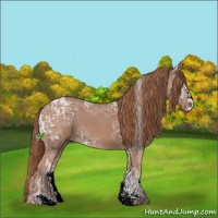 Horse Color:Chestnut Ice Sabino 
