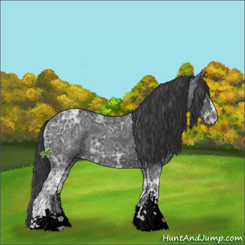 Horse Color:Black Ice Sabino
